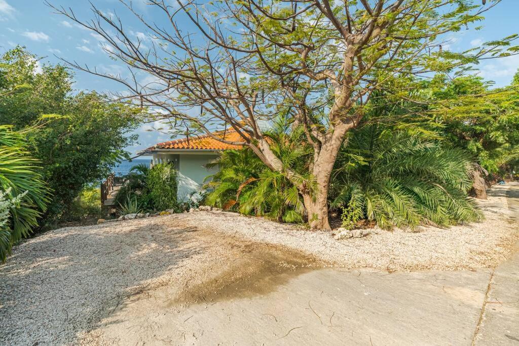 Cliff Cottage- Vacation Villa With Breath Taking Sea View Kralendijk  Exterior photo